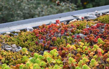 the cost of Thorney Green green roof installation