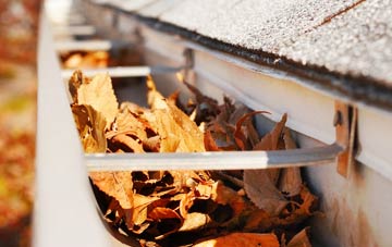 Thorney Green gutter cleaning companies