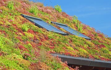 Thorney Green living roof systems