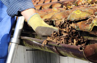 Thorney Green gutter cleaners
